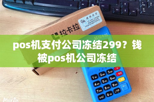 pos机支付公司冻结299？钱被pos机公司冻结