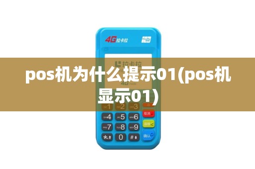 pos机为什么提示01(pos机显示01)