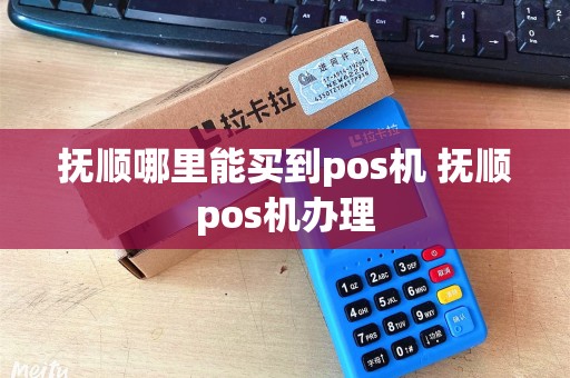 抚顺哪里能买到pos机 抚顺pos机办理