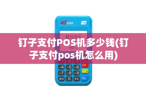 钉子支付POS机多少钱(钉子支付pos机怎么用)