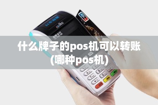 什么牌子的pos机可以转账(哪种pos机)