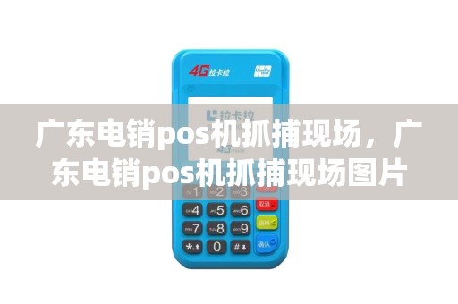 广东电销pos机抓捕现场，广东电销pos机抓捕现场图片