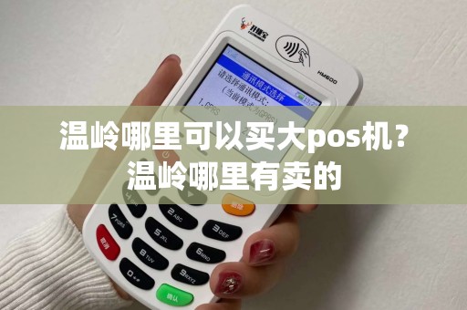 温岭哪里可以买大pos机？温岭哪里有卖的