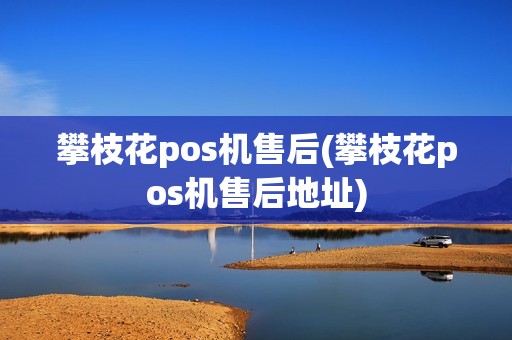 攀枝花pos机售后(攀枝花pos机售后地址)