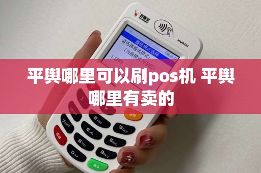 平舆哪里可以刷pos机 平舆哪里有卖的