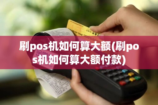 刷pos机如何算大额(刷pos机如何算大额付款)