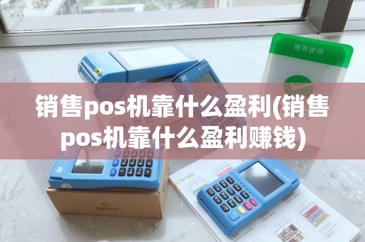 销售pos机靠什么盈利(销售pos机靠什么盈利赚钱)
