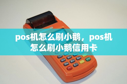 pos机怎么刷小鹅，pos机怎么刷小鹅信用卡