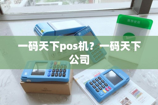 一码天下pos机？一码天下公司
