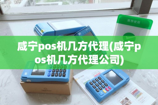 咸宁pos机几方代理(咸宁pos机几方代理公司)
