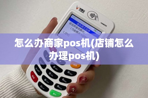 怎么办商家pos机(店铺怎么办理pos机)