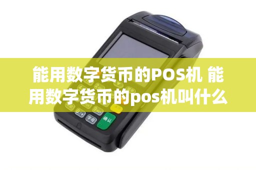 能用数字货币的POS机 能用数字货币的pos机叫什么
