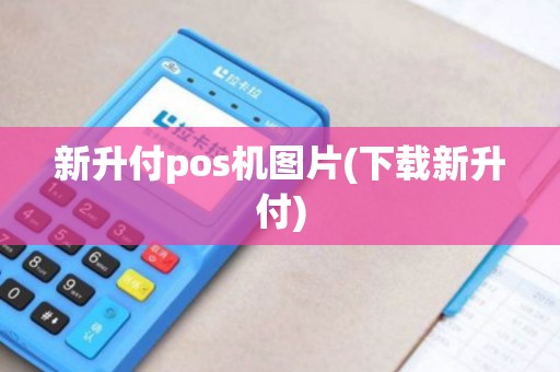 新升付pos机图片(下载新升付)