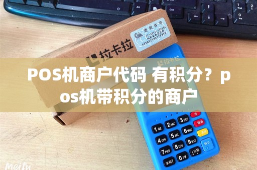 POS机商户代码 有积分？pos机带积分的商户