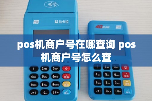 pos机商户号在哪查询 pos机商户号怎么查