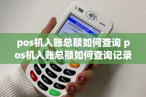 pos机入账总额如何查询 pos机入账总额如何查询记录