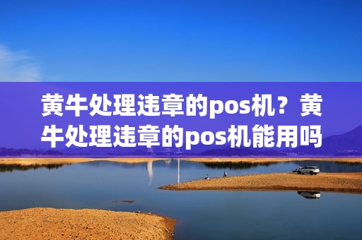 黄牛处理违章的pos机？黄牛处理违章的pos机能用吗
