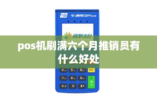 pos机刷满六个月推销员有什么好处