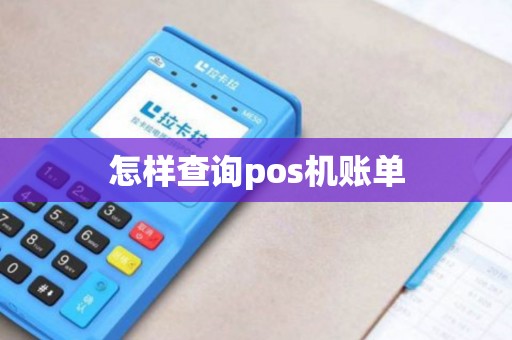 怎样查询pos机账单