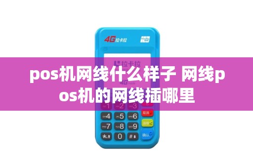 pos机网线什么样子 网线pos机的网线插哪里