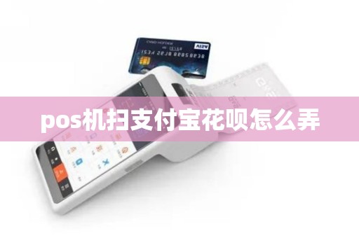 pos机扫支付宝花呗怎么弄