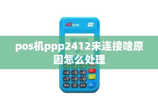 pos机ppp2412未连接啥原因怎么处理