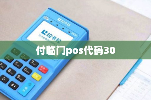 付临门pos代码30