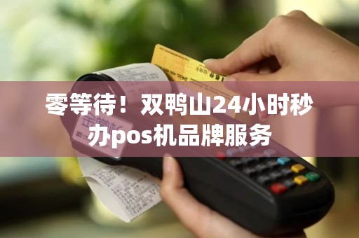 零等待！双鸭山24小时秒办pos机品牌服务
