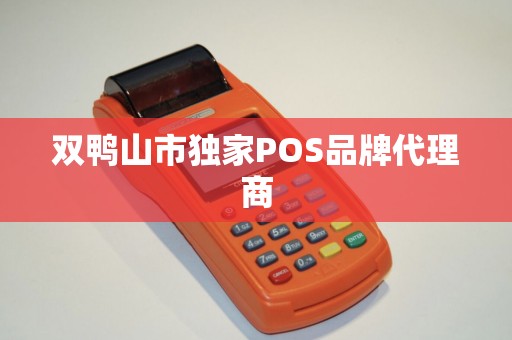 双鸭山市独家POS品牌代理商