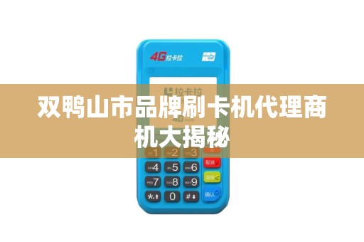 双鸭山市品牌刷卡机代理商机大揭秘