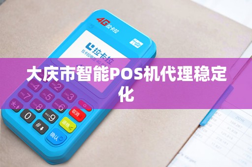 大庆市智能POS机代理稳定化