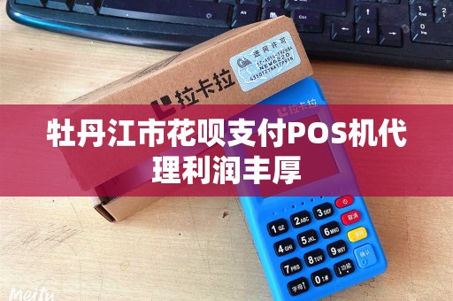 牡丹江市花呗支付POS机代理利润丰厚