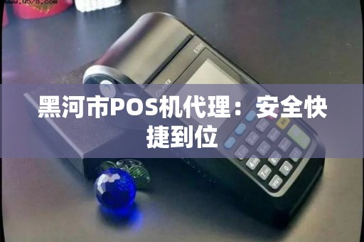 黑河市POS机代理：安全快捷到位
