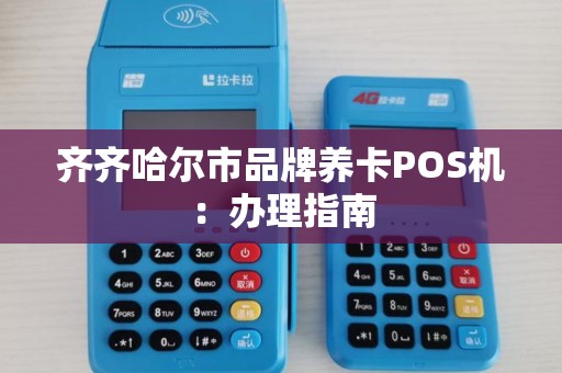齐齐哈尔市品牌养卡POS机：办理指南