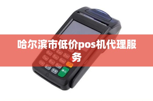 哈尔滨市低价pos机代理服务