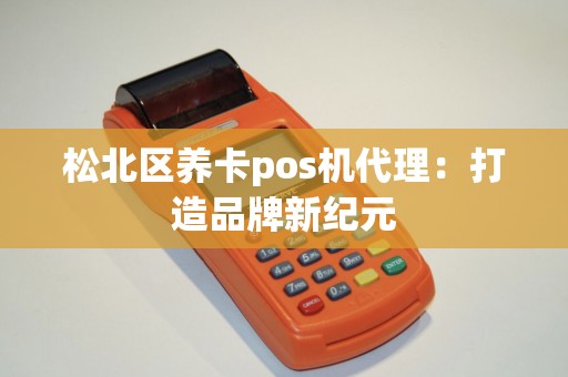 松北区养卡pos机代理：打造品牌新纪元