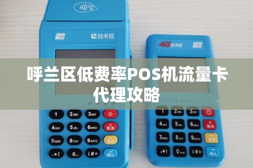 呼兰区低费率POS机流量卡代理攻略