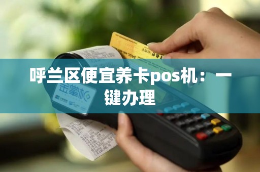 呼兰区便宜养卡pos机：一键办理