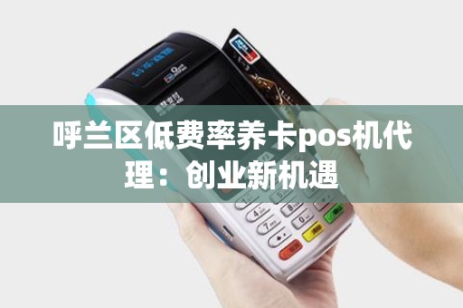 呼兰区低费率养卡pos机代理：创业新机遇