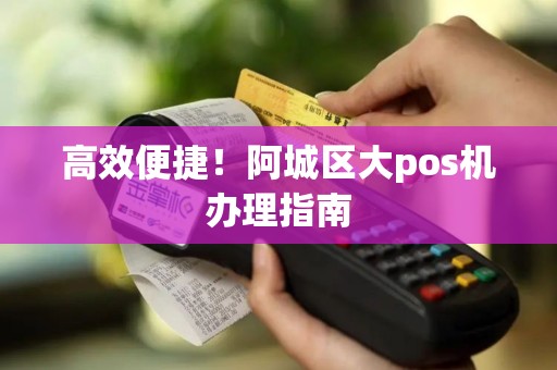 高效便捷！阿城区大pos机办理指南