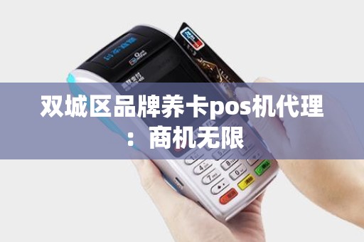 双城区品牌养卡pos机代理：商机无限