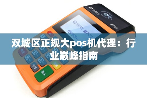 双城区正规大pos机代理：行业巅峰指南