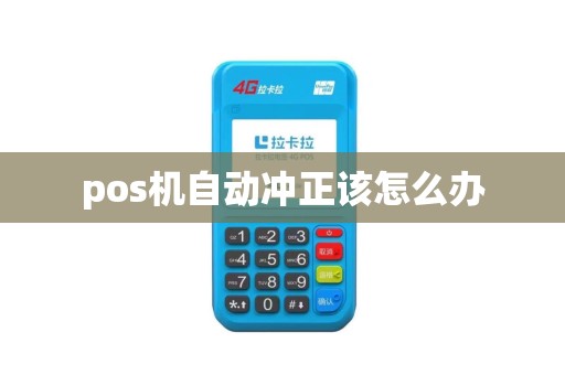 pos机自动冲正该怎么办