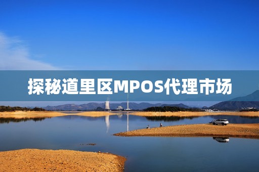 探秘道里区MPOS代理市场