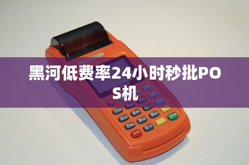 黑河低费率24小时秒批POS机