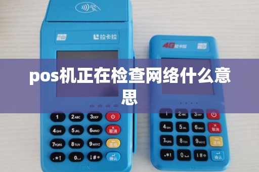 pos机正在检查网络什么意思
