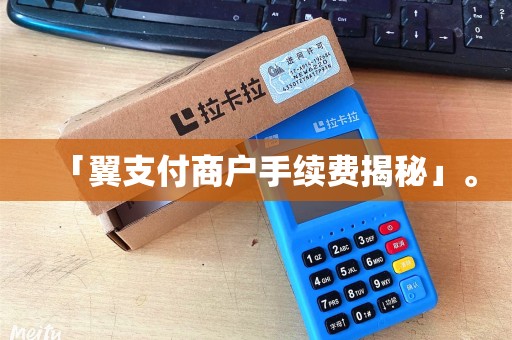 「翼支付商户手续费揭秘」。