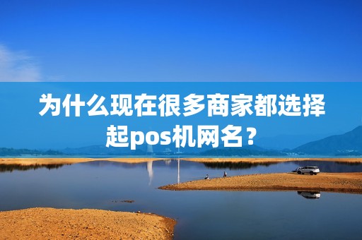 为什么现在很多商家都选择起pos机网名？