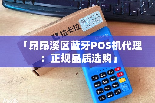 「昂昂溪区蓝牙POS机代理：正规品质选购」