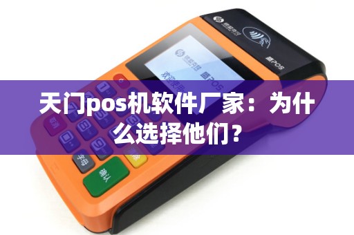 天门pos机软件厂家：为什么选择他们？